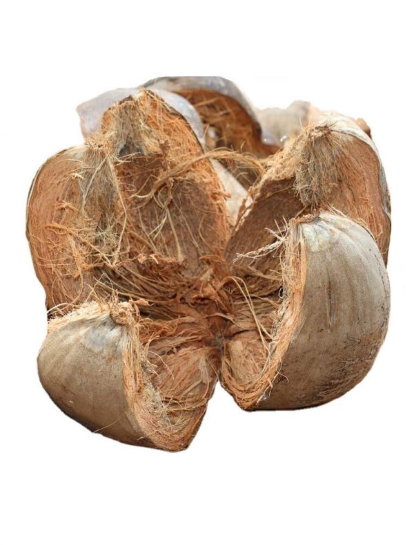 Coconut Husk Brown