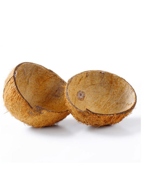Coconut Shell Shreekantha