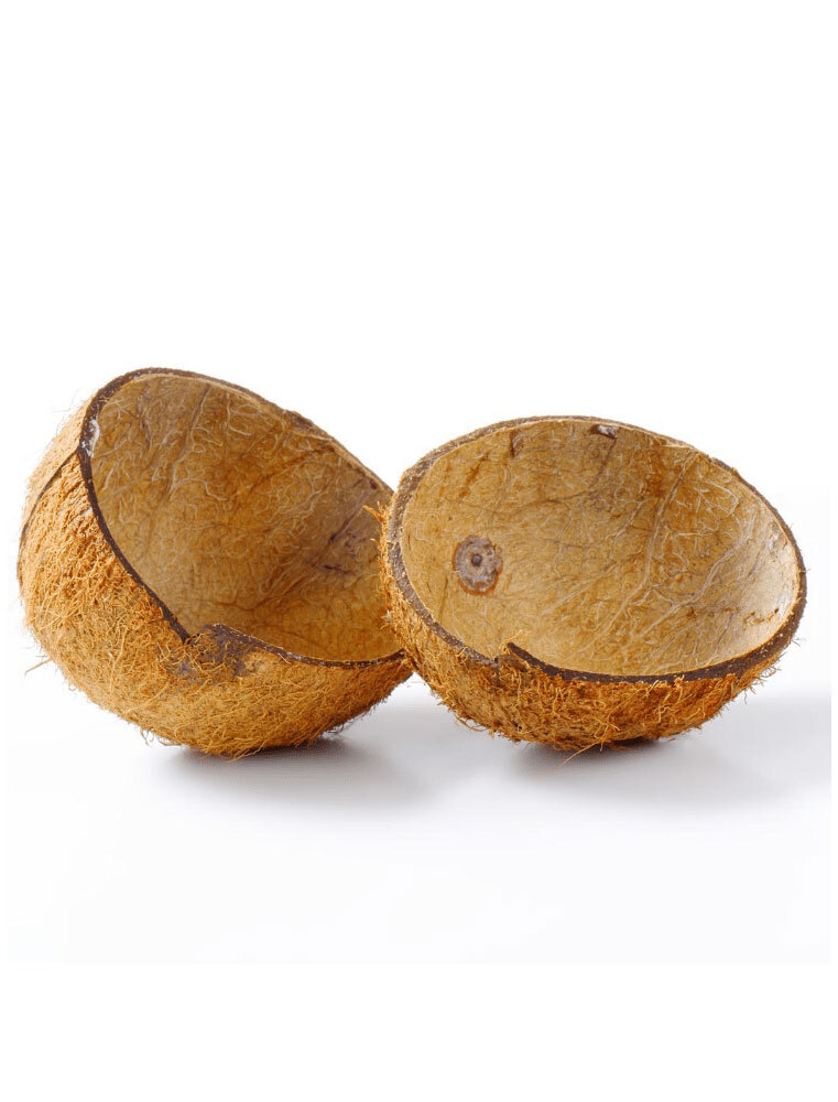Coconut Shell, Shree Kantha Agro Products